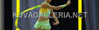 Best�ll/Tilaa kuvia